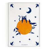 Gato con naranja