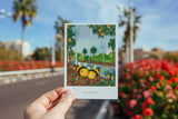Un viaje por Valencia a través de postales