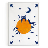 Gato con naranja