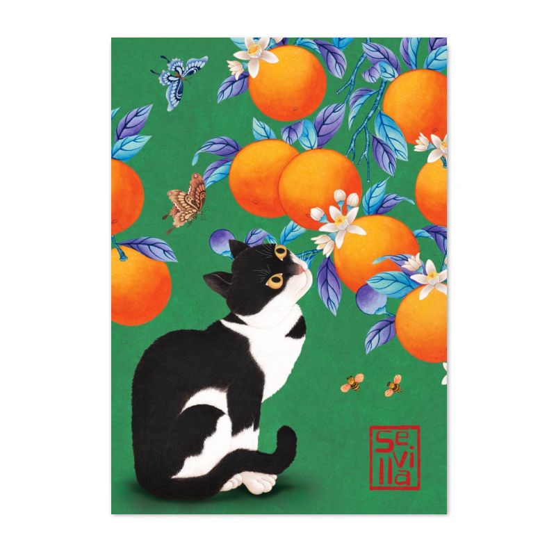 Postal 'Gato naranjas Koreano'