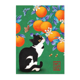 Postal 'Gato naranjas Koreano'