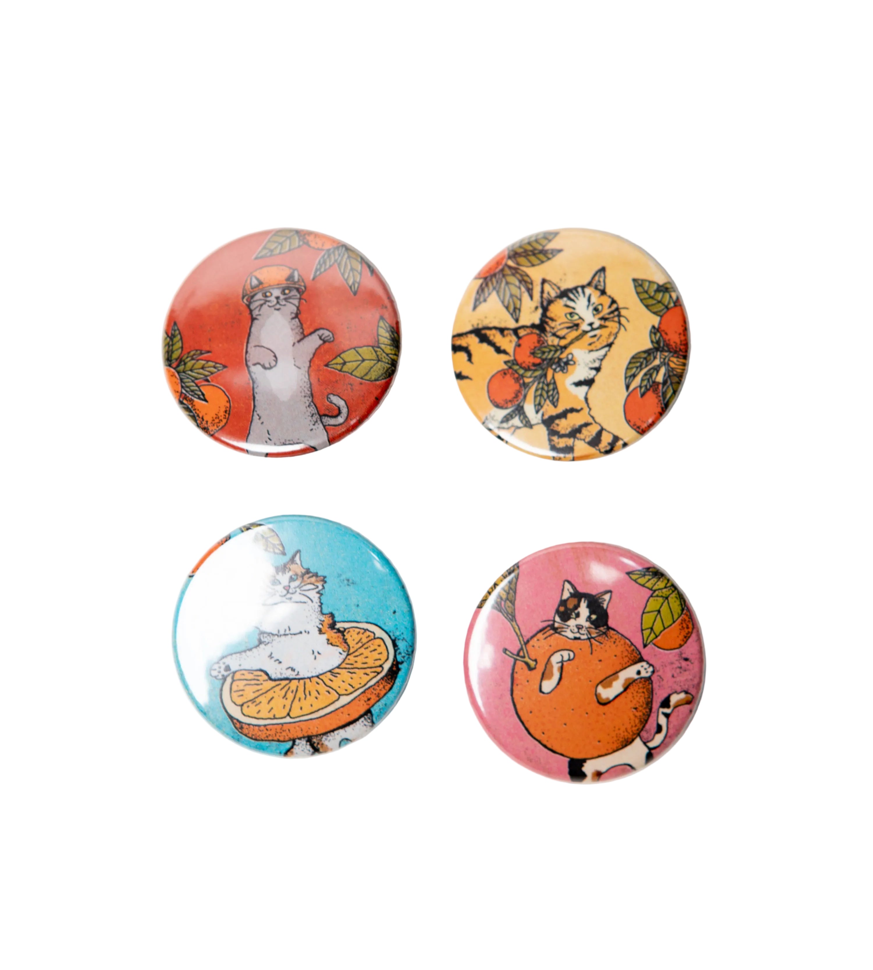 Chapas gatunas
