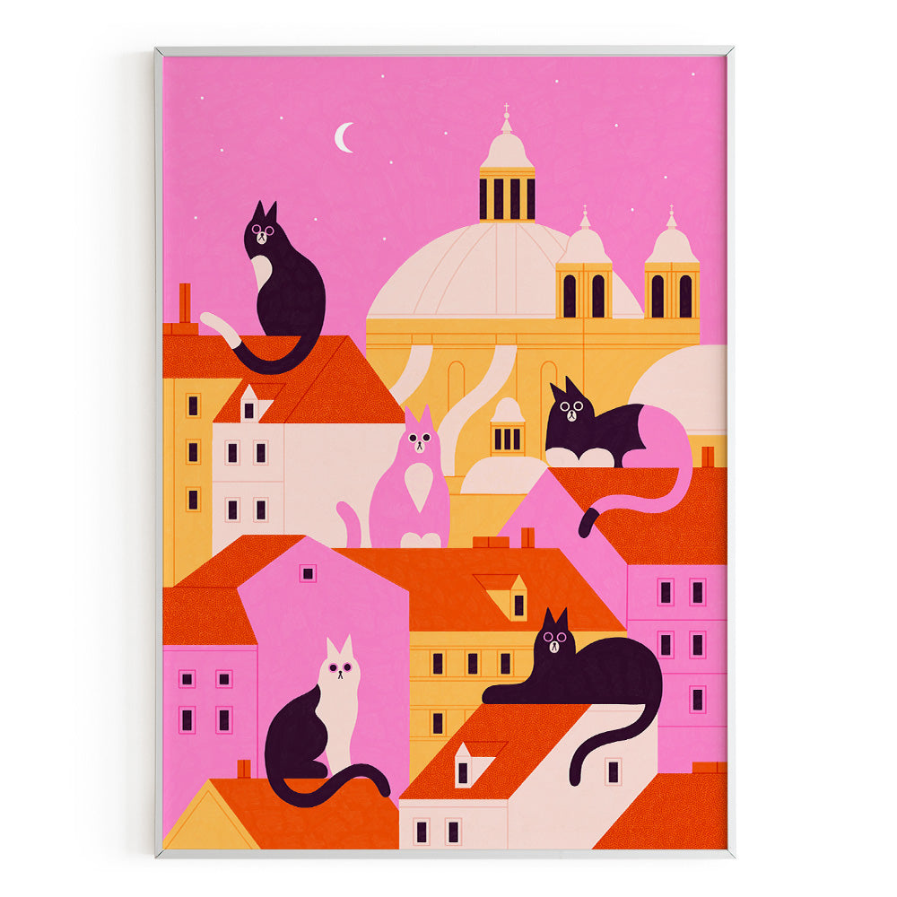 Gatos en los tejados de Madrid