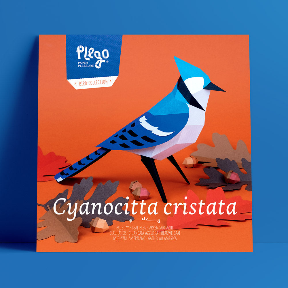 Cyanocitta Cristata: Pájaro montable