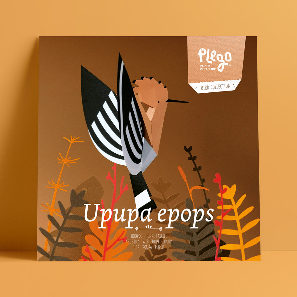 Upupa Epops: Pájaro montable