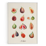 Les figues