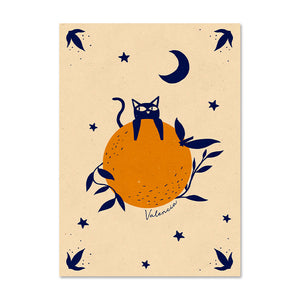 Gato con naranja